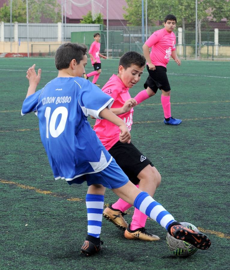 Fotos: Deporte Base del 18 y 19 de mayo. Valladolid