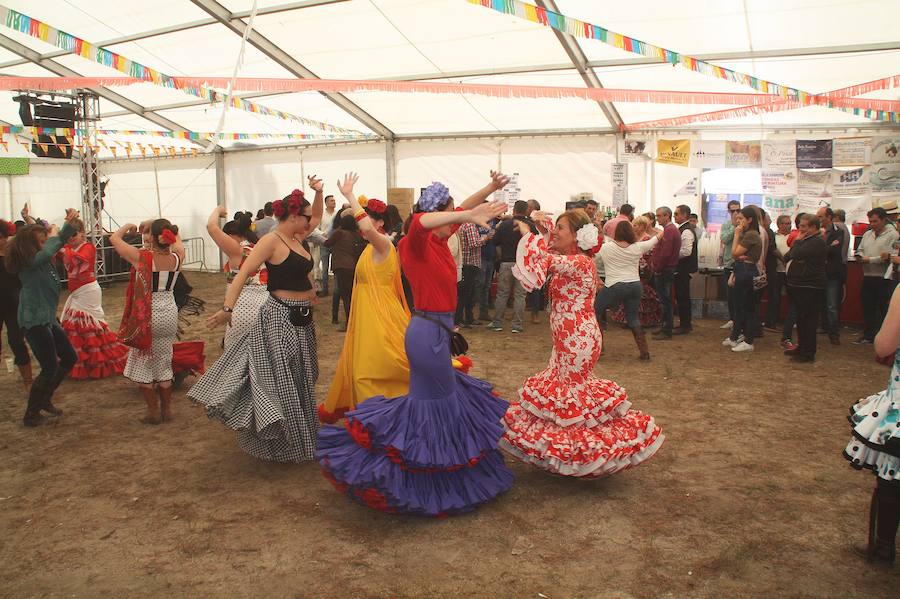 Fotos: Feria de Abril en Nava de la Asunción