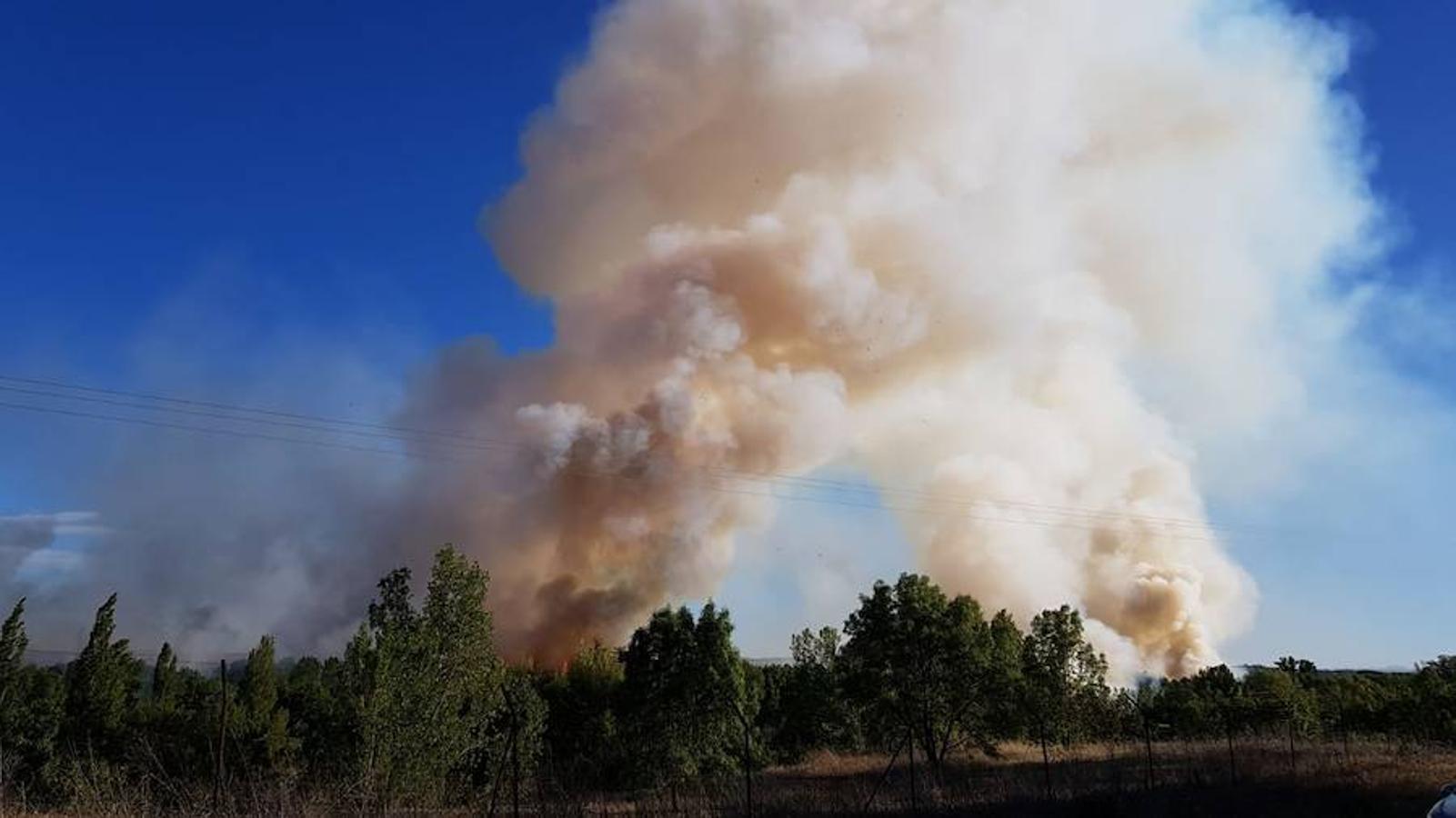 Fotos: Incendio junto a la piscifactoría de Cabrerizos, en Salamanca