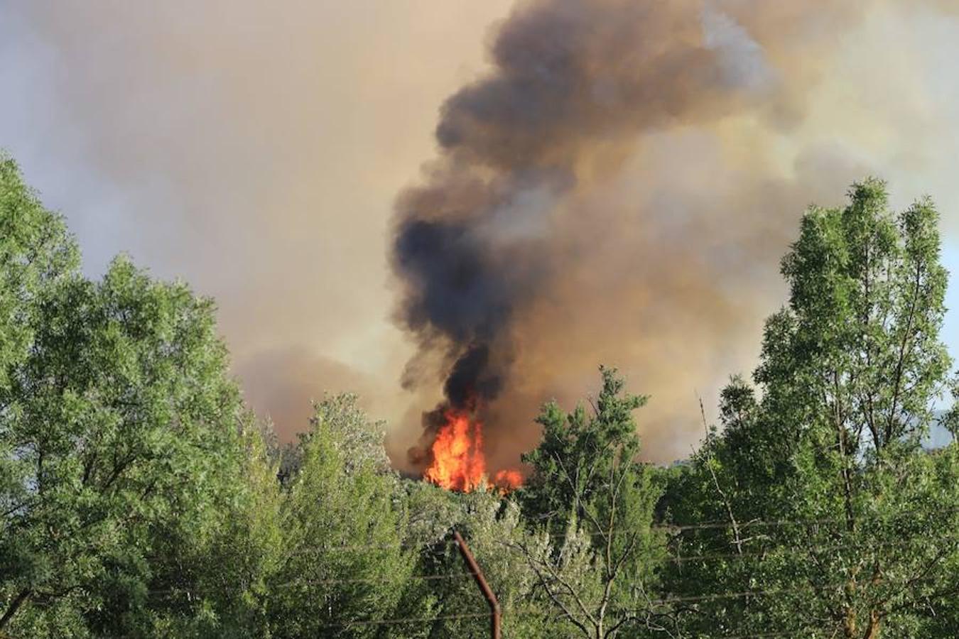 Fotos: Incendio junto a la piscifactoría de Cabrerizos, en Salamanca