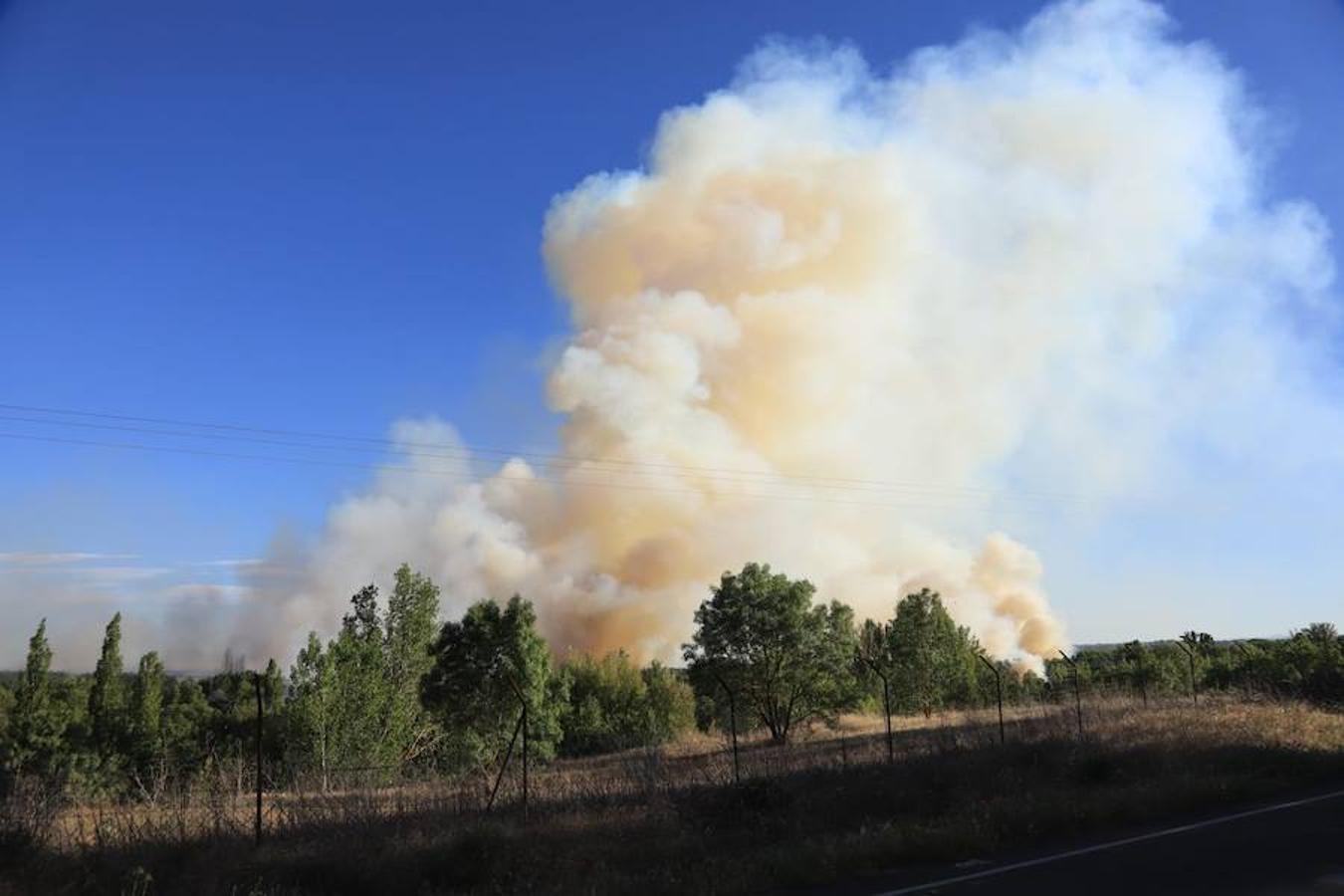 Fotos: Incendio junto a la piscifactoría de Cabrerizos, en Salamanca