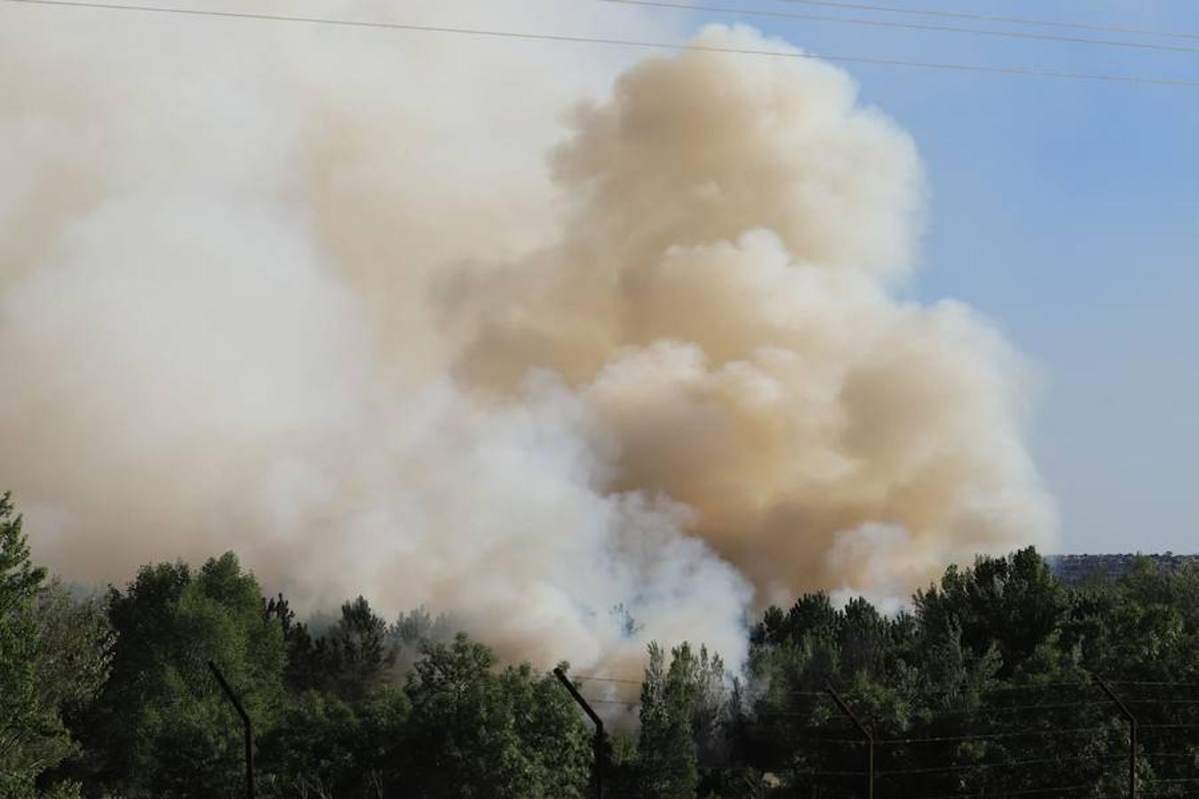 Fotos: Incendio junto a la piscifactoría de Cabrerizos, en Salamanca