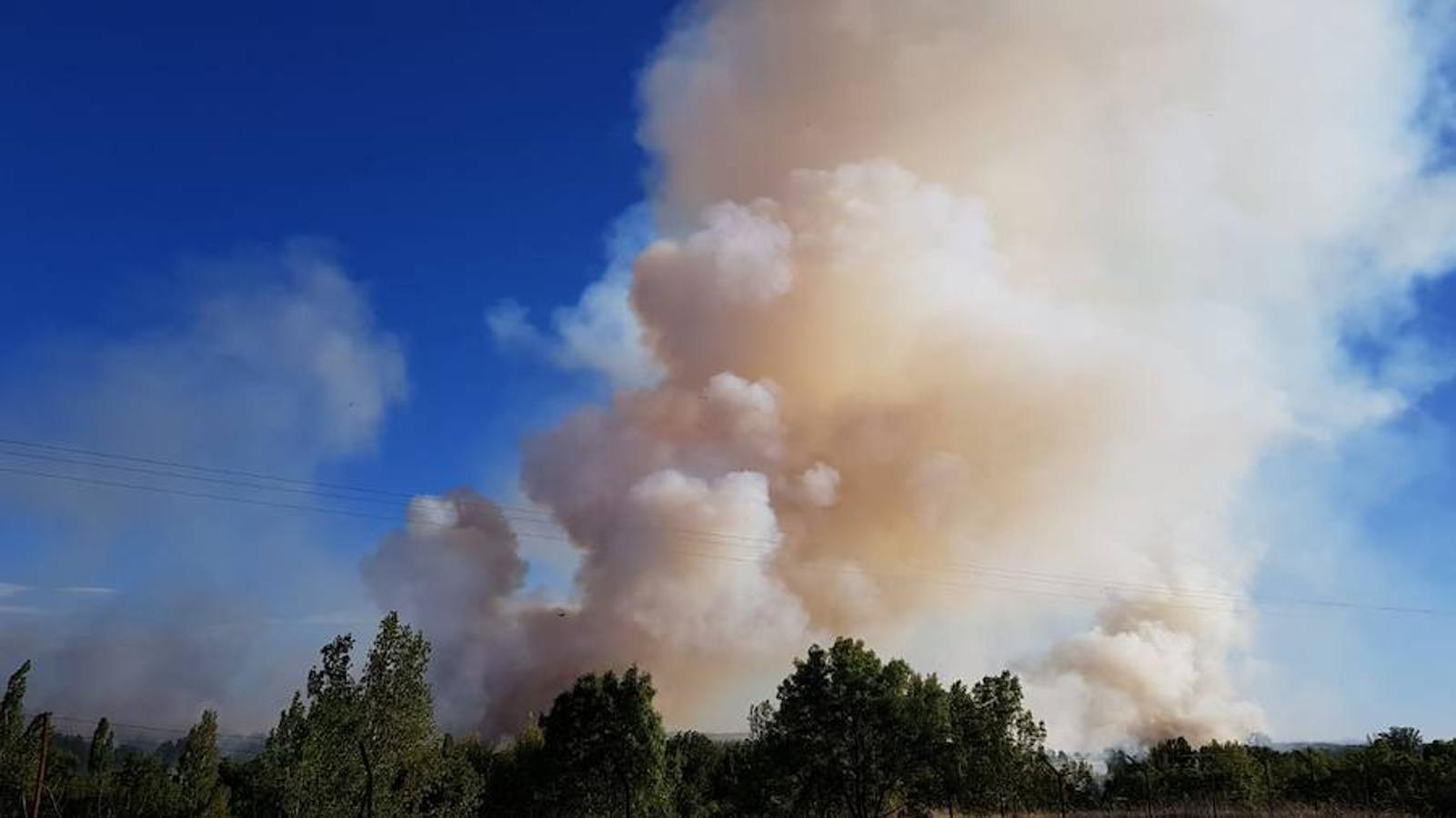 Fotos: Incendio junto a la piscifactoría de Cabrerizos, en Salamanca