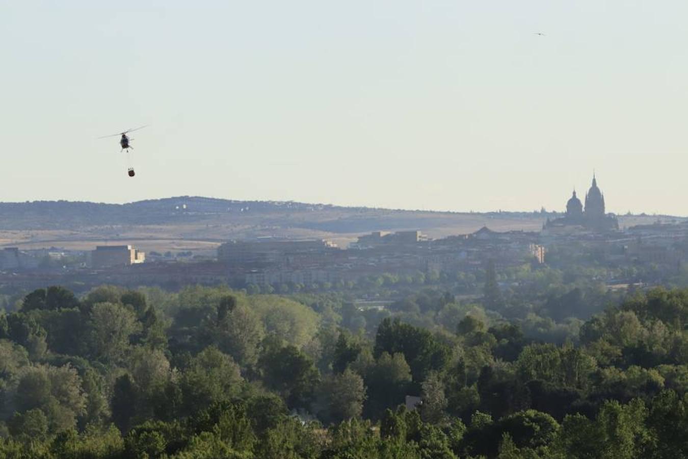 Fotos: Incendio junto a la piscifactoría de Cabrerizos, en Salamanca