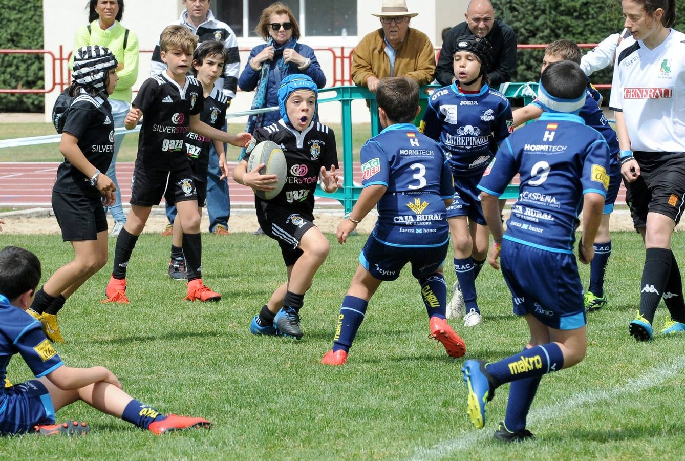 Fotos: Deporte Base del 25 y 26 de Mayo. Valladolid (2/3)