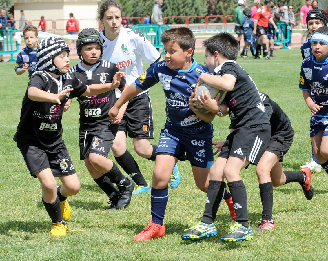 Fotos: Deporte Base del 25 y 26 de Mayo. Valladolid (2/3)