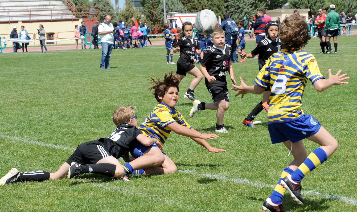 Fotos: Deporte Base del 25 y 26 de Mayo. Valladolid (3/3)