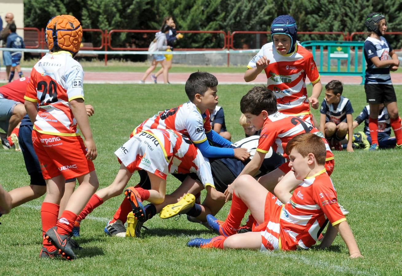 Fotos: Deporte Base del 25 y 26 de Mayo. Valladolid (3/3)