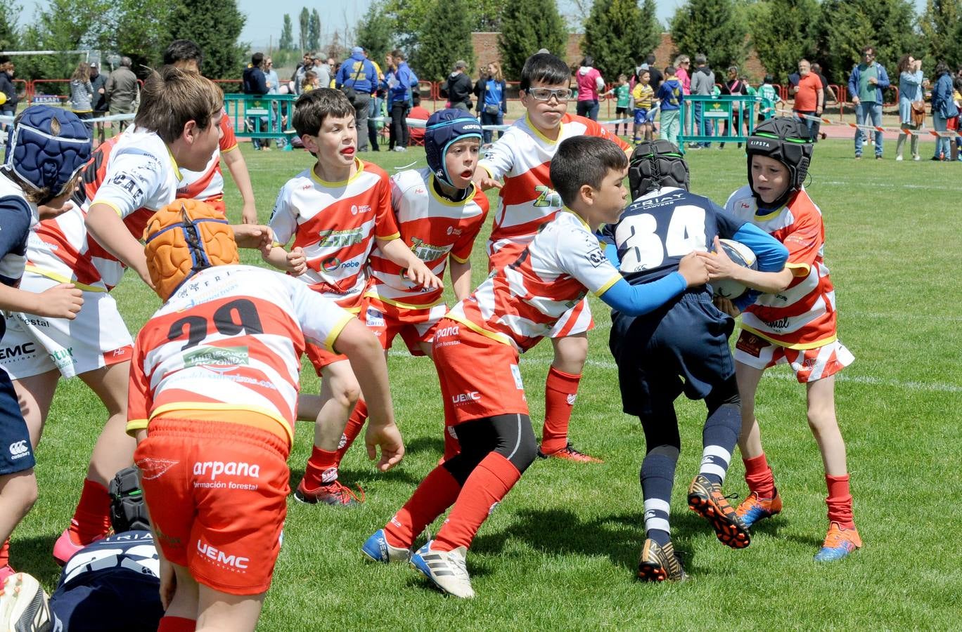 Fotos: Deporte Base del 25 y 26 de Mayo. Valladolid (3/3)