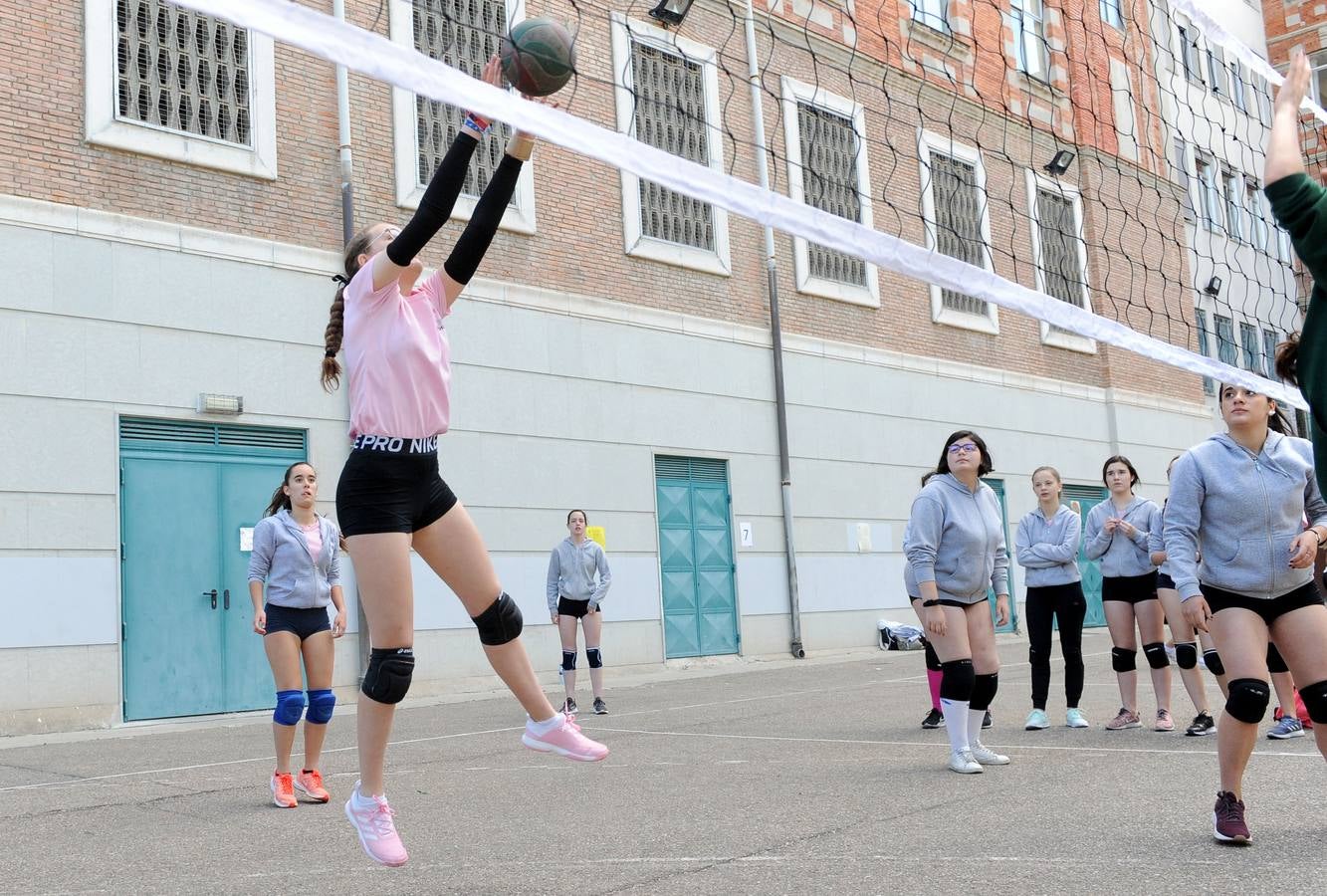 Fotos: Deporte Base del 25 y 26 de Mayo. Valladolid (3/3)