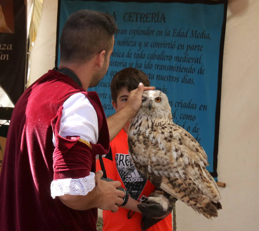 Fotos: XIX edición del Mercado Barroco de La Granja