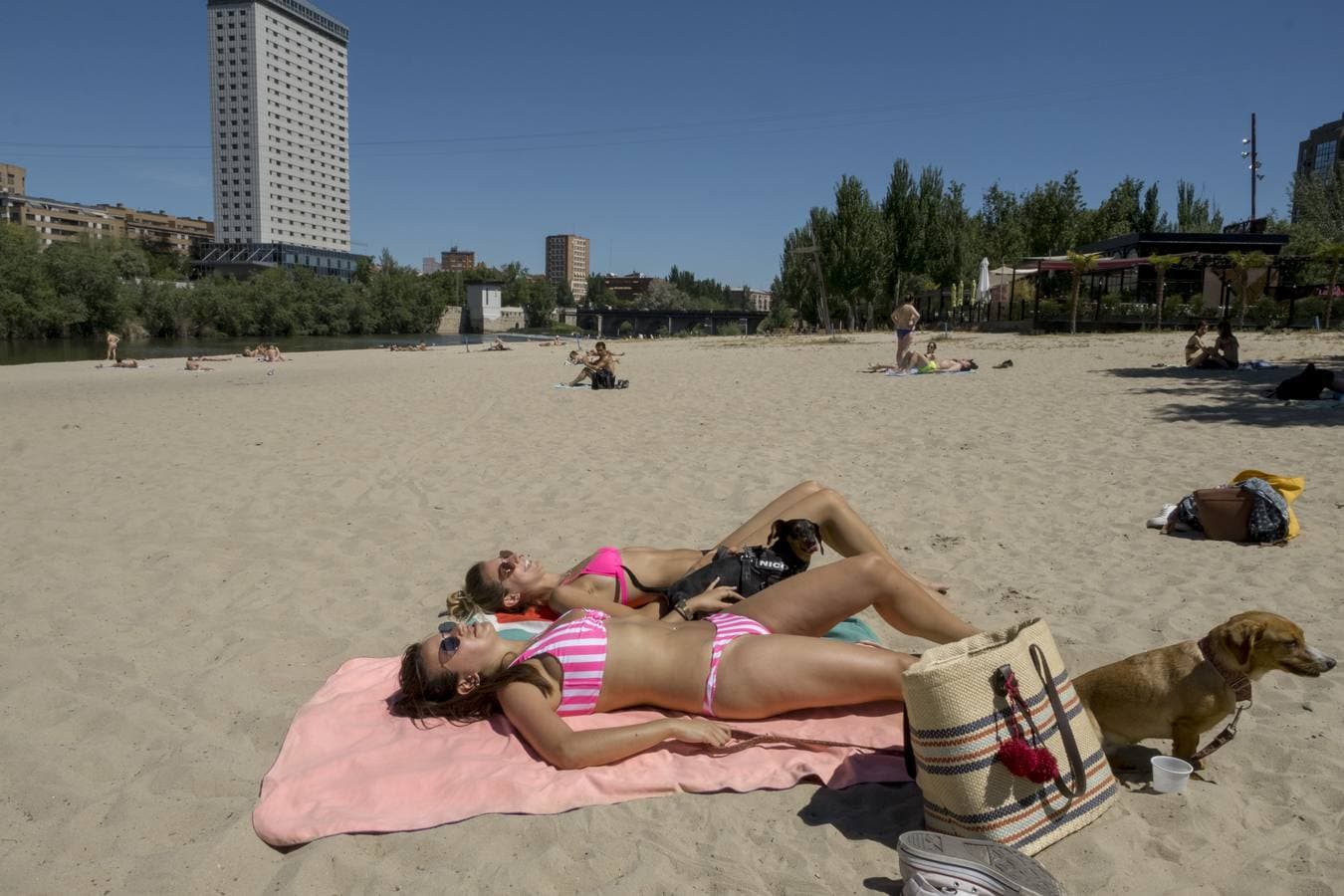 Fotos: Altas temperaturas en Valladolid en el primer día de junio