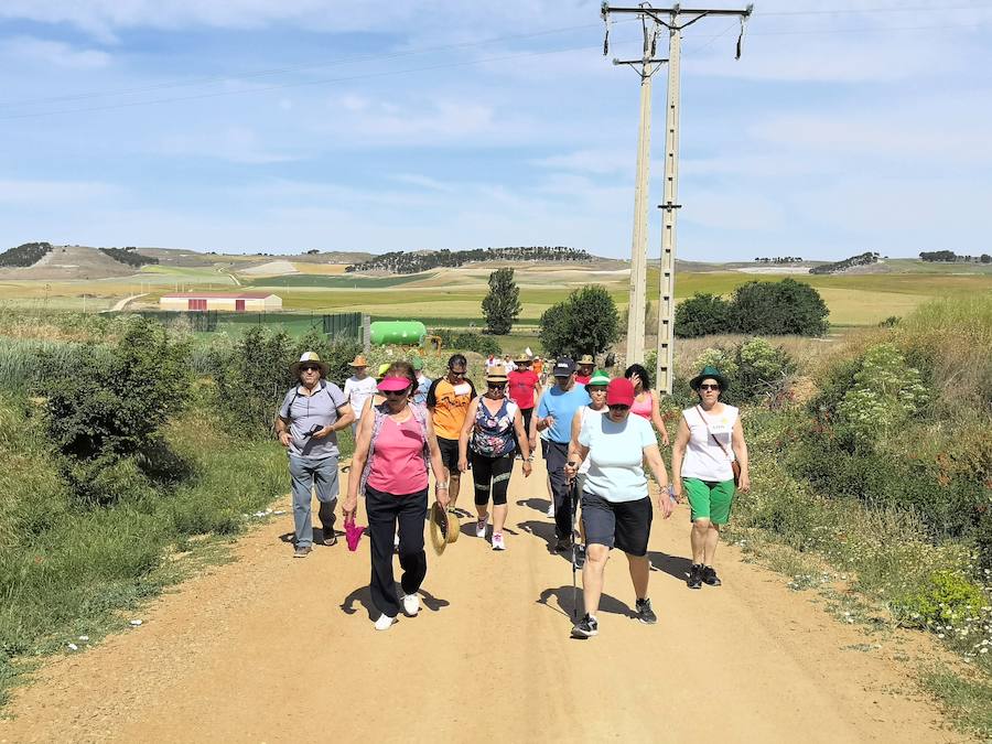 Marcha en Villasexmir