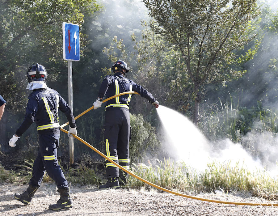 Los bomberos trabajan este domingo en el incendio en Grijota. 