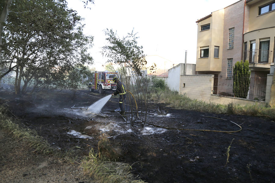 Fotos: Nuevo incendio por pelusas en la darsena del canal