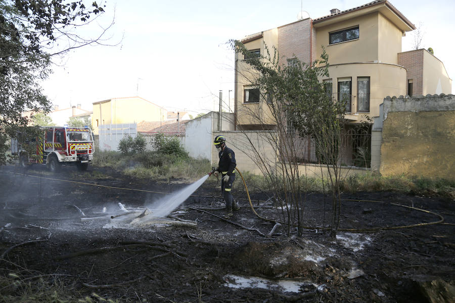Fotos: Nuevo incendio por pelusas en la darsena del canal