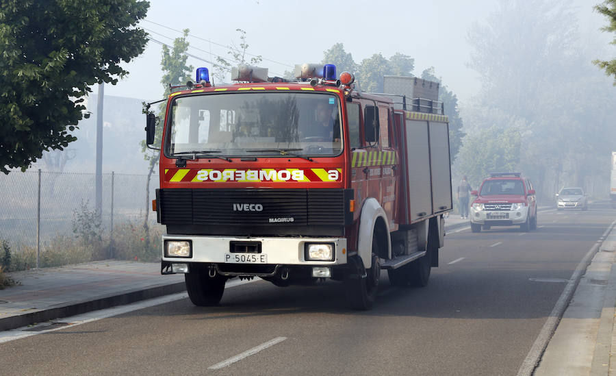 Fotos: Nuevo incendio por pelusas en la darsena del canal