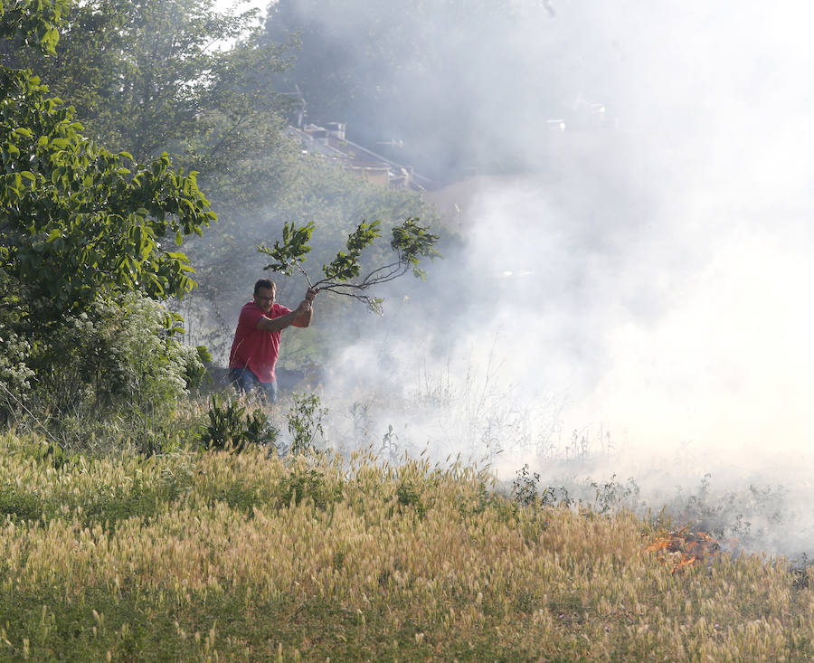 Fotos: Nuevo incendio por pelusas en la darsena del canal