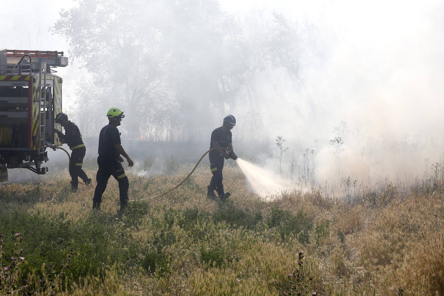 Fotos: Nuevo incendio por pelusas en la darsena del canal