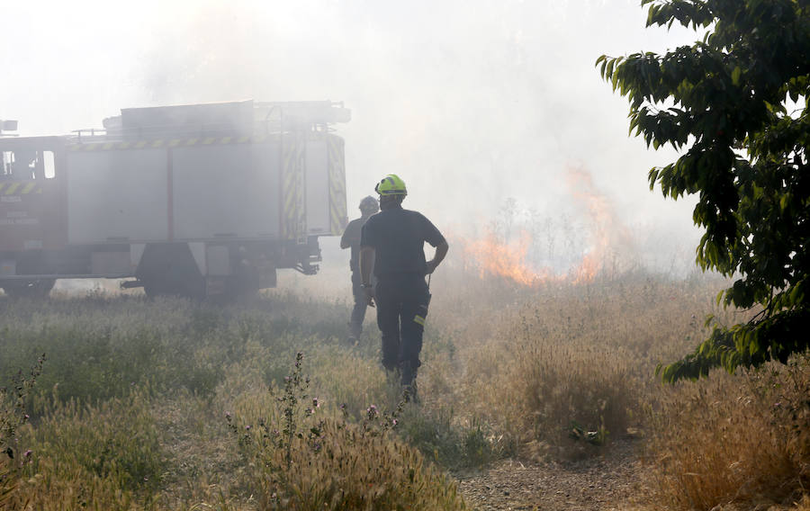 Fotos: Nuevo incendio por pelusas en la darsena del canal