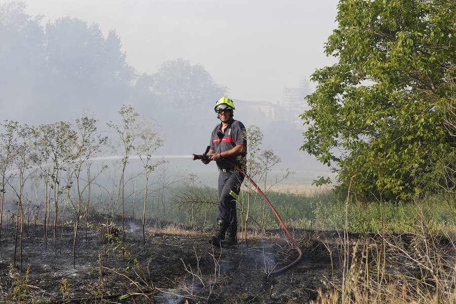 Fotos: Nuevo incendio por pelusas en la darsena del canal