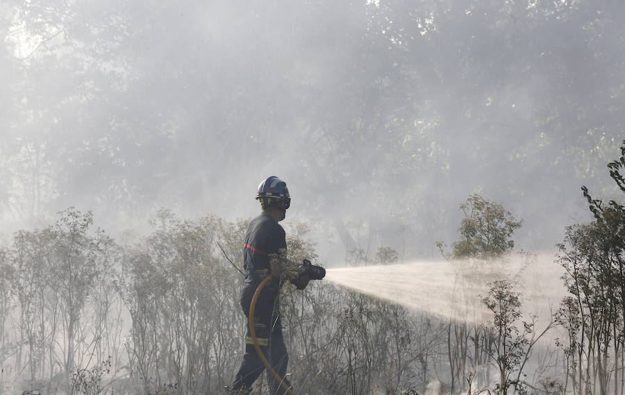 Fotos: Nuevo incendio por pelusas en la darsena del canal