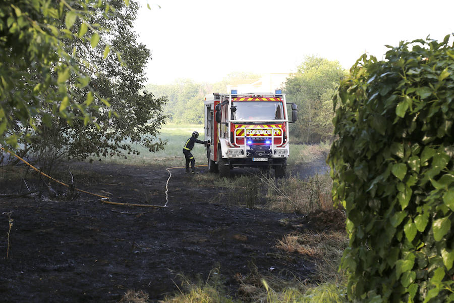 Fotos: Nuevo incendio por pelusas en la darsena del canal