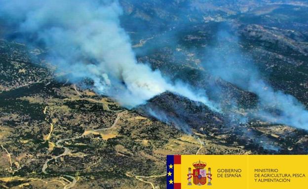 Incendio de nivel 2 en El Hoyo de Pinares (Ávila). 