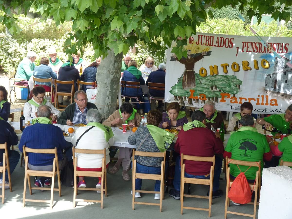 Es la edición número 26 de una cita que, todas las primaveras, reúne a cientos de mayores (en esta, 609) en una cita festiva que, además, sirve para reivindicar el papel que juegan los mayores en el medio rural