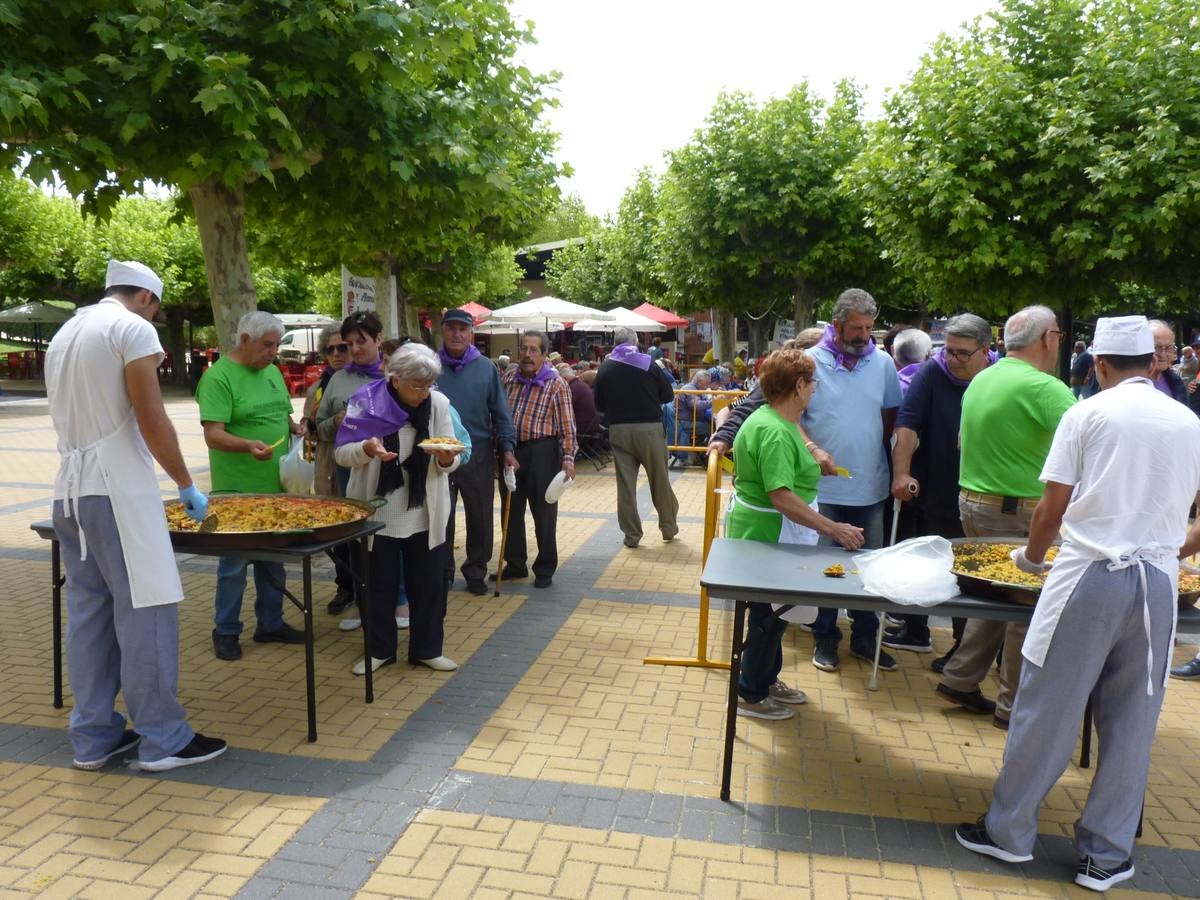 Es la edición número 26 de una cita que, todas las primaveras, reúne a cientos de mayores (en esta, 609) en una cita festiva que, además, sirve para reivindicar el papel que juegan los mayores en el medio rural