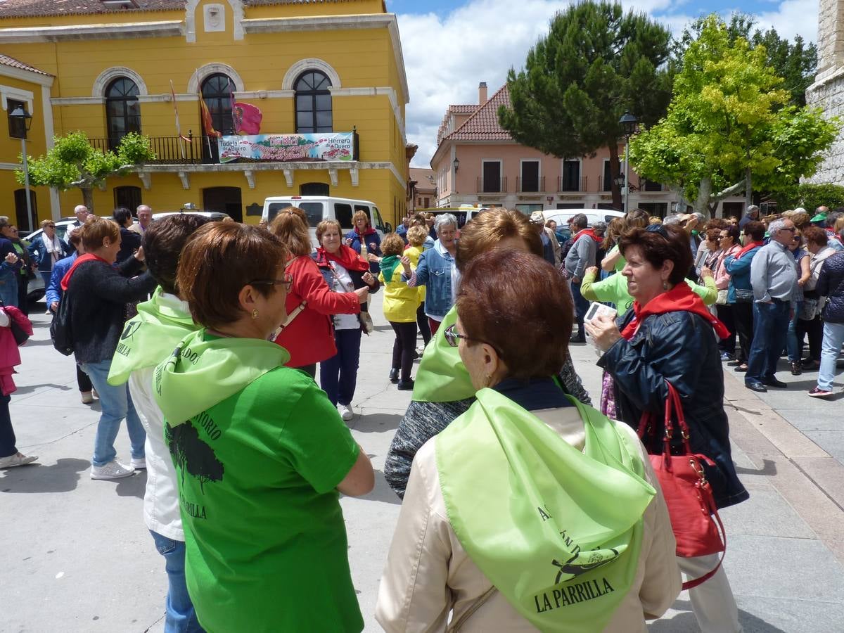 Es la edición número 26 de una cita que, todas las primaveras, reúne a cientos de mayores (en esta, 609) en una cita festiva que, además, sirve para reivindicar el papel que juegan los mayores en el medio rural