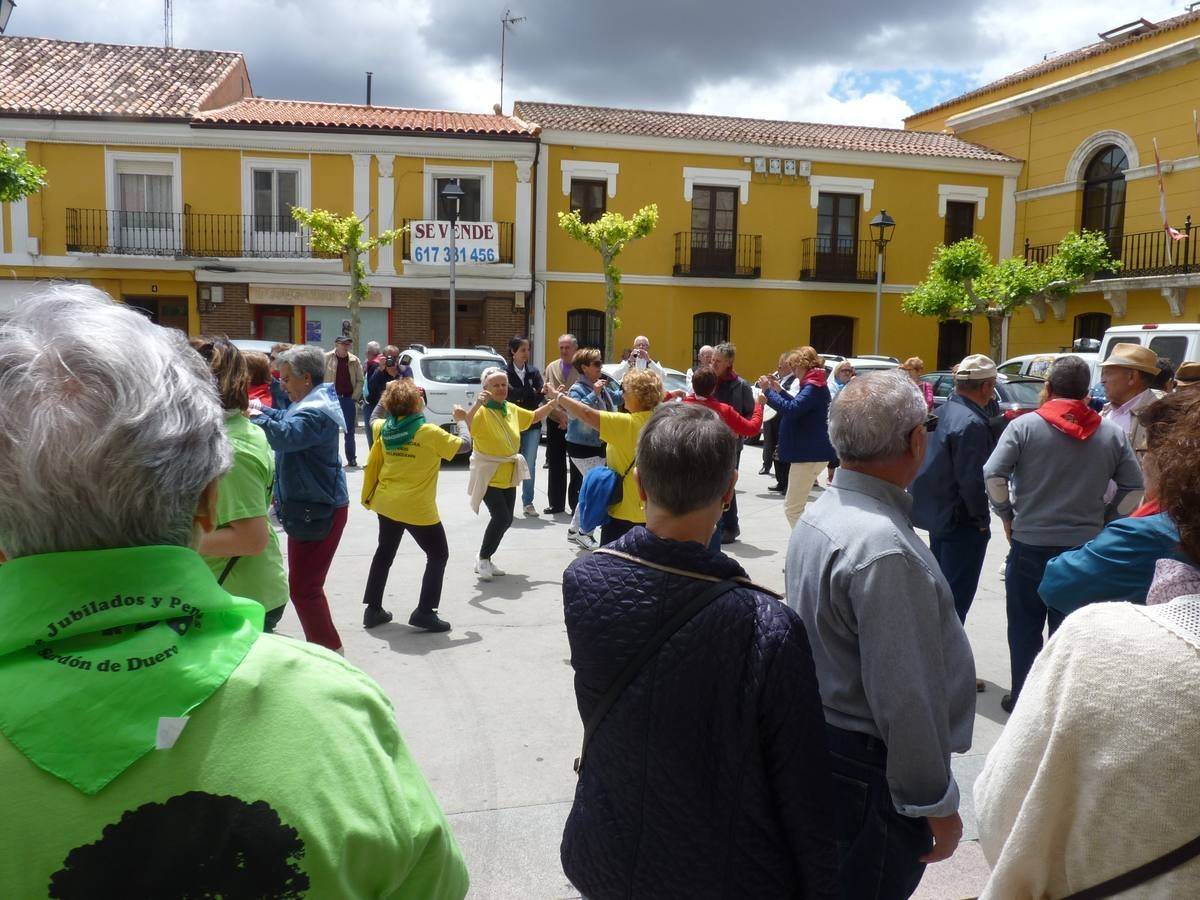 Es la edición número 26 de una cita que, todas las primaveras, reúne a cientos de mayores (en esta, 609) en una cita festiva que, además, sirve para reivindicar el papel que juegan los mayores en el medio rural