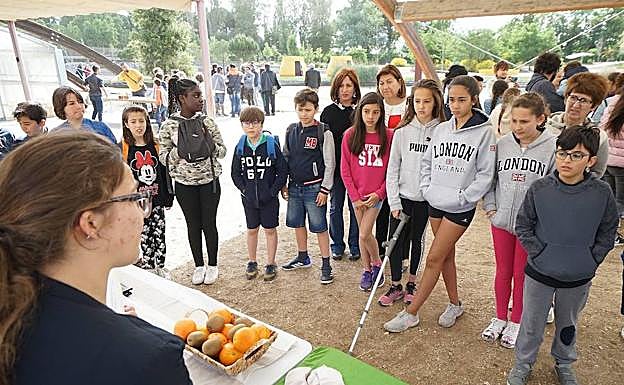 Participantes en el encuentro de huertos escolares.