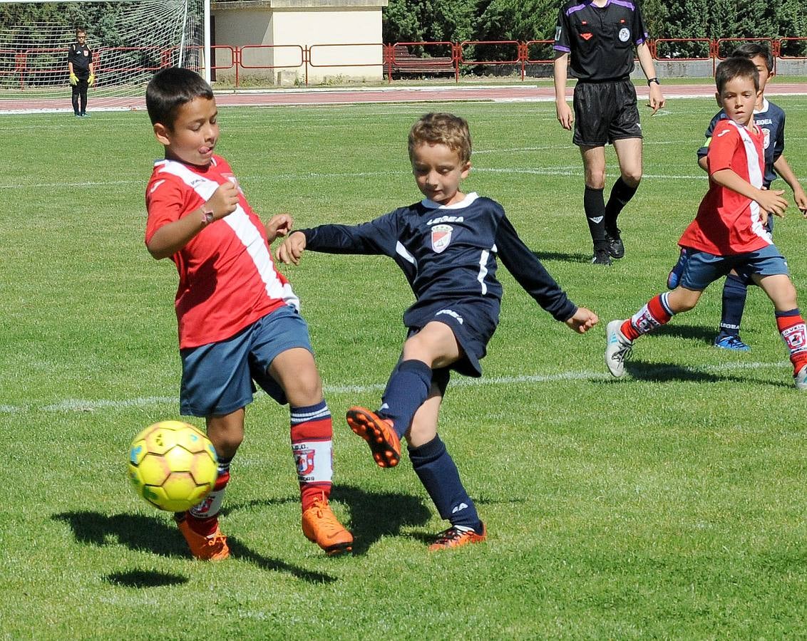 Fotos: Deporte Base del 1 y 2 de junio. Valladolid (2/2)