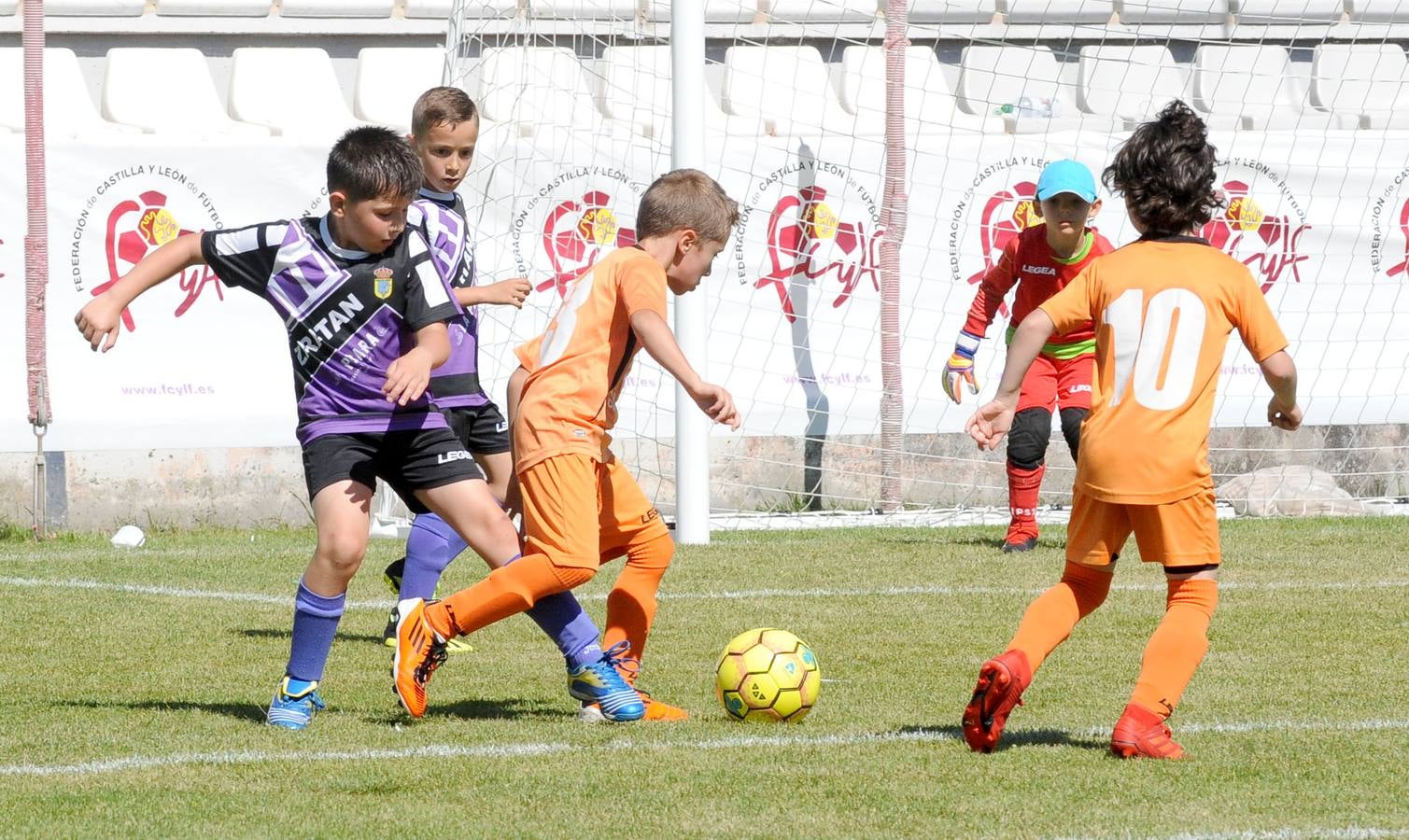 Fotos: Deporte Base del 1 y 2 de junio. Valladolid (2/2)