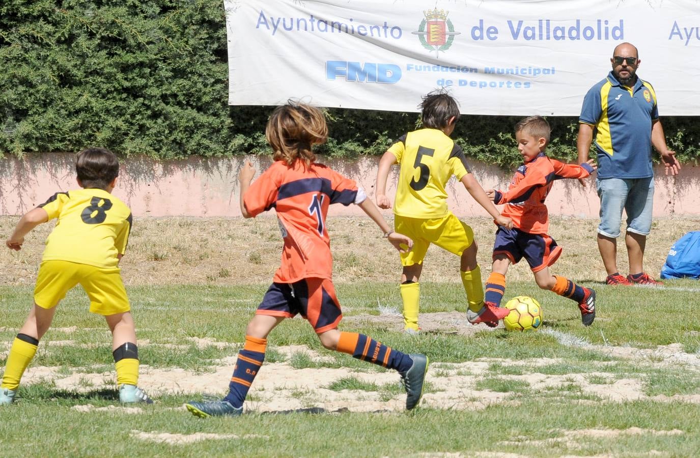 Fotos: Deporte Base del 1 y 2 de junio. Valladolid (2/2)