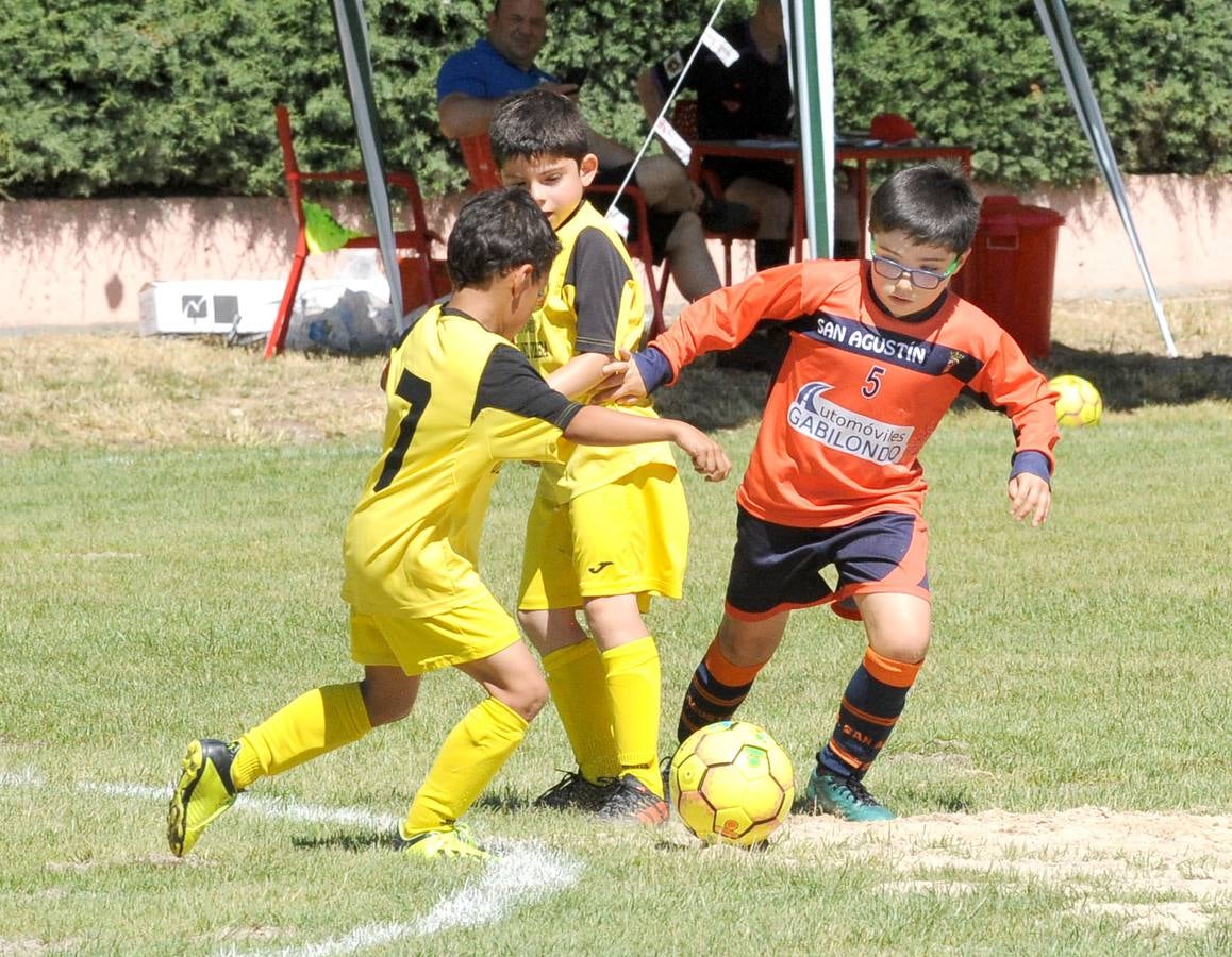 Fotos: Deporte Base del 1 y 2 de junio. Valladolid (2/2)