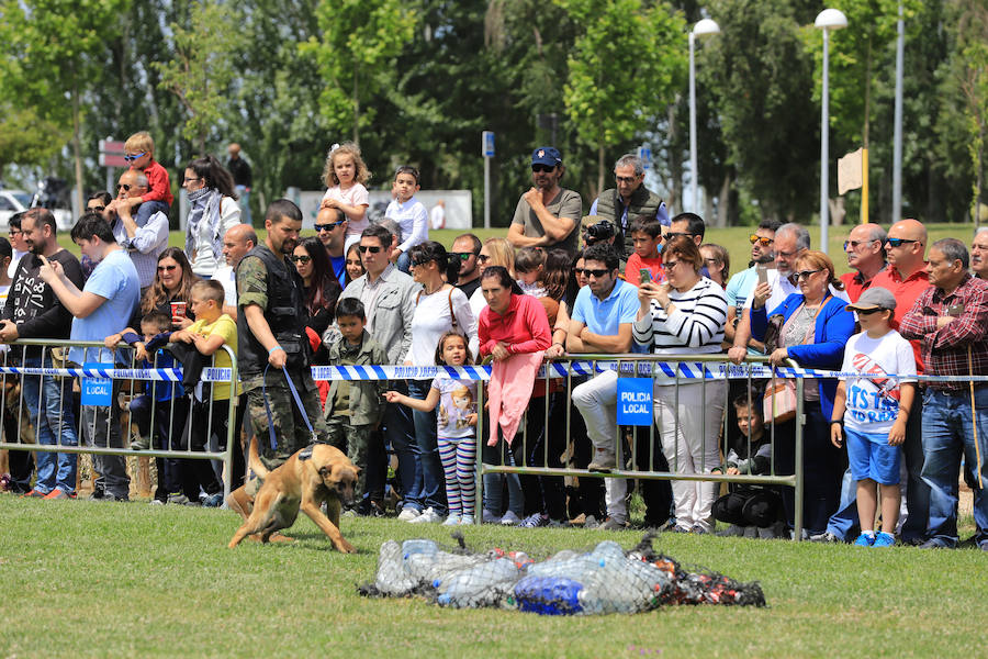 Fotos: Exhibición militar en Salamanca en el día de las Fuerzas Armadas (1/2)