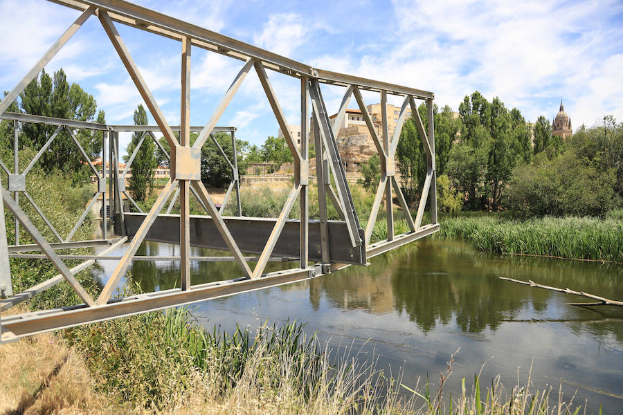 Fotos: Exhibición militar en Salamanca en el día de las Fuerzas Armadas (1/2)