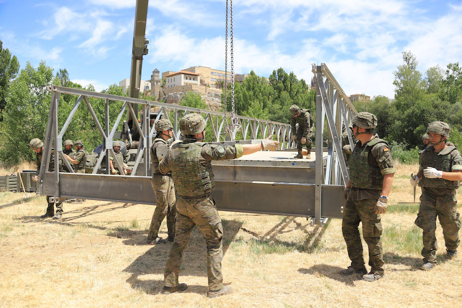 Fotos: Exhibición militar en Salamanca en el día de las Fuerzas Armadas (1/2)