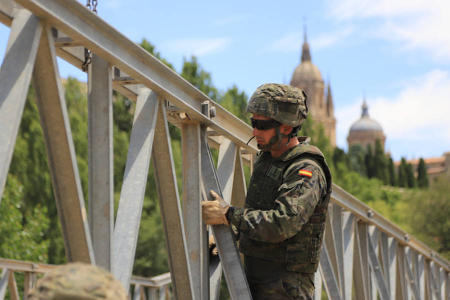 Fotos: Exhibición militar en Salamanca en el día de las Fuerzas Armadas (1/2)