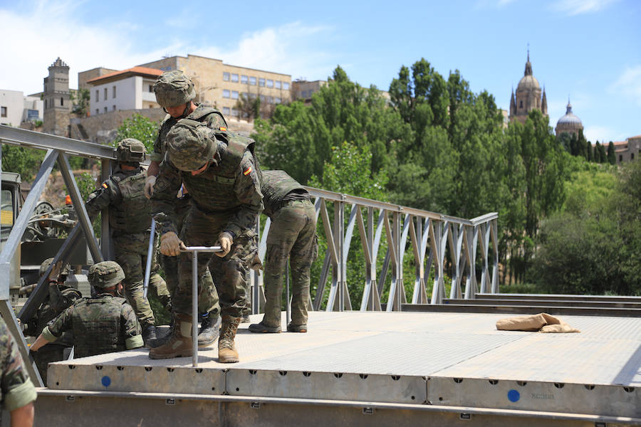 Fotos: Exhibición militar en Salamanca en el día de las Fuerzas Armadas (2/2)
