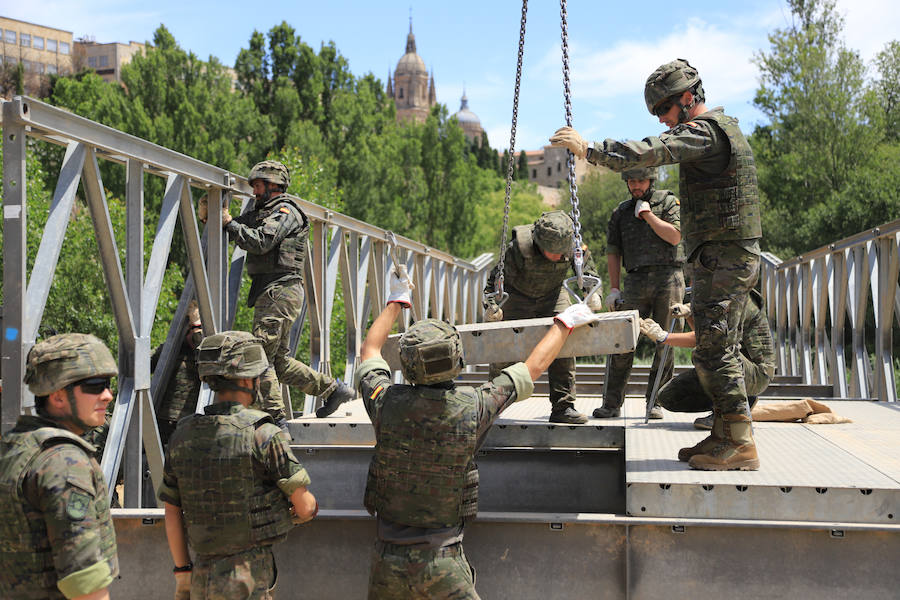 Fotos: Exhibición militar en Salamanca en el día de las Fuerzas Armadas (2/2)