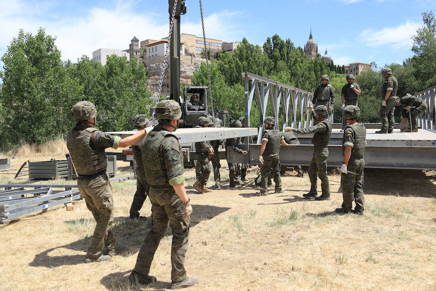 Fotos: Exhibición militar en Salamanca en el día de las Fuerzas Armadas (2/2)