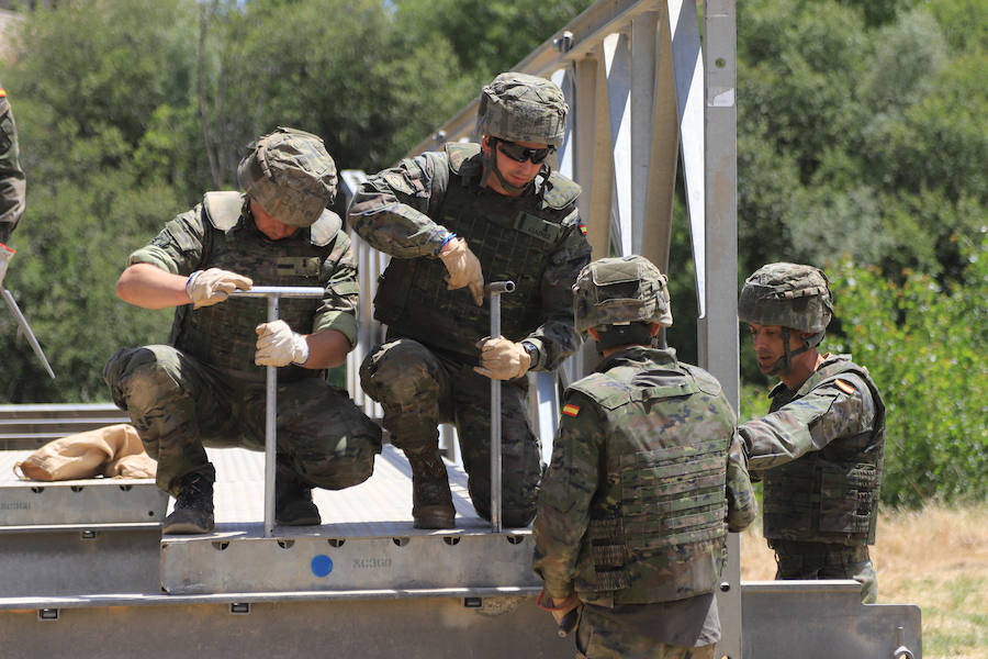 Fotos: Exhibición militar en Salamanca en el día de las Fuerzas Armadas (2/2)
