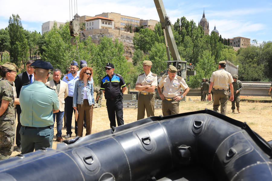 Fotos: Exhibición militar en Salamanca en el día de las Fuerzas Armadas (2/2)