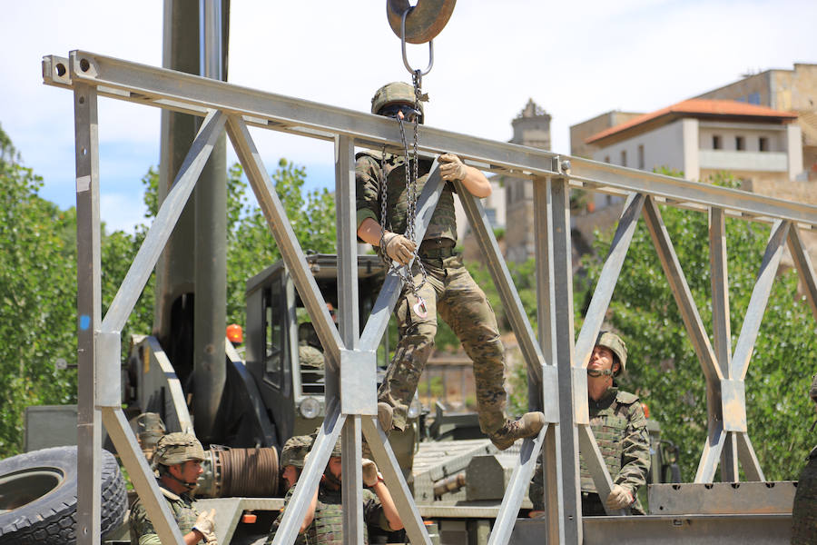 Fotos: Exhibición militar en Salamanca en el día de las Fuerzas Armadas (2/2)