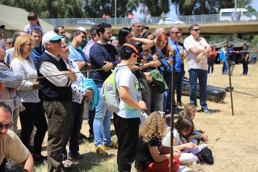Fotos: Exhibición militar en Salamanca en el día de las Fuerzas Armadas (2/2)