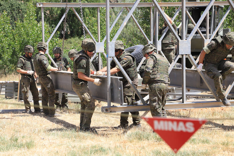Fotos: Exhibición militar en Salamanca en el día de las Fuerzas Armadas (2/2)