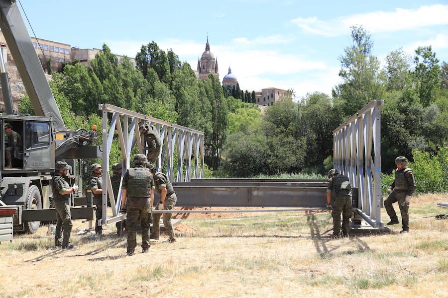 Fotos: Exhibición militar en Salamanca en el día de las Fuerzas Armadas (2/2)